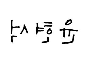 KPOP CIX(씨아이엑스、シーアイエックス) 현석 (ヒョンソク) 応援ボード ハングル 型紙  左右反転