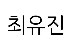 KPOP CLC(씨엘씨、シエルシ) 최유진 (チェ・ユジン) コンサート用　応援ボード・うちわ　韓国語/ハングル文字型紙 通常