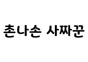 KPOP CLC(씨엘씨、シエルシ) Sorn (ソン) 応援ボード・うちわ　韓国語/ハングル文字型紙 通常