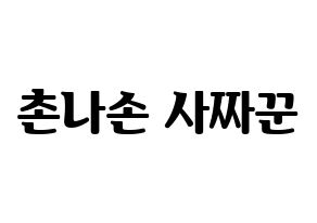 KPOP CLC(씨엘씨、シエルシ) Sorn (ソン) コンサート用　応援ボード・うちわ　韓国語/ハングル文字型紙 通常