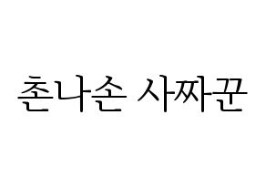 KPOP CLC(씨엘씨、シエルシ) Sorn (ソン) 応援ボード・うちわ　韓国語/ハングル文字型紙 通常