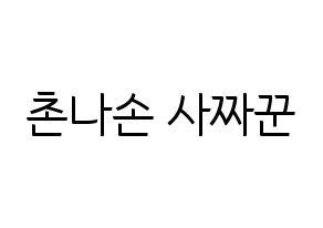 KPOP CLC(씨엘씨、シエルシ) Sorn (ソン) コンサート用　応援ボード・うちわ　韓国語/ハングル文字型紙 通常