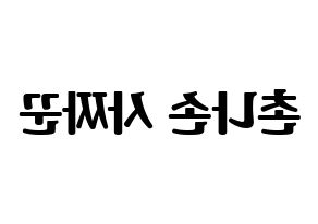 KPOP CLC(씨엘씨、シエルシ) Sorn (ソン) コンサート用　応援ボード・うちわ　韓国語/ハングル文字型紙 左右反転