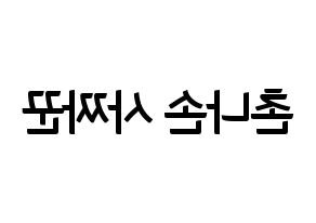 KPOP CLC(씨엘씨、シエルシ) Sorn (ソン) k-pop アイドル名前 ファンサボード 型紙 左右反転