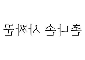 KPOP CLC(씨엘씨、シエルシ) Sorn (ソン) 応援ボード・うちわ　韓国語/ハングル文字型紙 左右反転