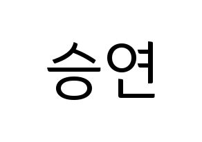 KPOP CLC(씨엘씨、シエルシ) 장승연 (チャン・スンヨン) コンサート用　応援ボード・うちわ　韓国語/ハングル文字型紙 通常