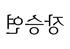 KPOP CLC(씨엘씨、シエルシ) 장승연 (チャン・スンヨン) 応援ボード・うちわ　韓国語/ハングル文字型紙 左右反転