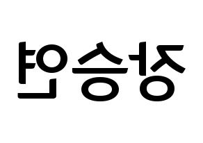 KPOP CLC(씨엘씨、シエルシ) 장승연 (チャン・スンヨン) k-pop アイドル名前 ファンサボード 型紙 左右反転
