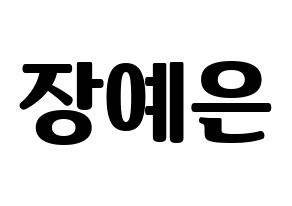 KPOP CLC(씨엘씨、シエルシ) 장예은 (チャン・イェウン) コンサート用　応援ボード・うちわ　韓国語/ハングル文字型紙 通常