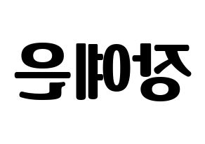 KPOP CLC(씨엘씨、シエルシ) 장예은 (チャン・イェウン) コンサート用　応援ボード・うちわ　韓国語/ハングル文字型紙 左右反転