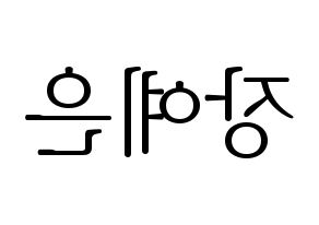 KPOP CLC(씨엘씨、シエルシ) 장예은 (チャン・イェウン) 応援ボード・うちわ　韓国語/ハングル文字型紙 左右反転