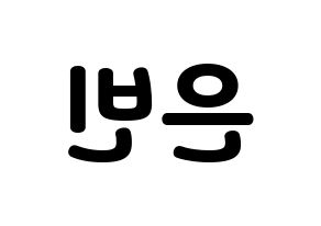 KPOP CLC(씨엘씨、シエルシ) 권은빈 (クォン・ウンビン) 応援ボード・うちわ　韓国語/ハングル文字型紙 左右反転