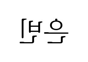 KPOP CLC(씨엘씨、シエルシ) 권은빈 (クォン・ウンビン) 応援ボード・うちわ　韓国語/ハングル文字型紙 左右反転
