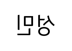 KPOP CRAVITY(크래비티、クレビティ) 성민 (ソンミン) コンサート用　応援ボード・うちわ　韓国語/ハングル文字型紙 左右反転