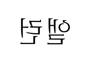 KPOP CRAVITY(크래비티、クレビティ) 앨런 (アレン) 応援ボード・うちわ　韓国語/ハングル文字型紙 左右反転