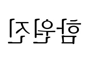 KPOP CRAVITY(크래비티、クレビティ) 원진 (ウォンジン) 応援ボード・うちわ　韓国語/ハングル文字型紙 左右反転