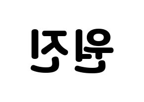 KPOP CRAVITY(크래비티、クレビティ) 원진 (ウォンジン) 応援ボード・うちわ　韓国語/ハングル文字型紙 左右反転
