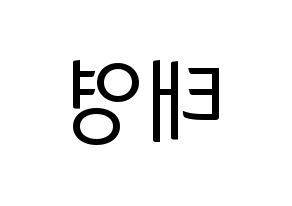 KPOP CRAVITY(크래비티、クレビティ) 태영 (テヨン) コンサート用　応援ボード・うちわ　韓国語/ハングル文字型紙 左右反転