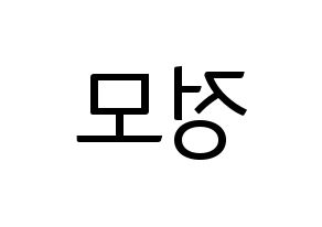 KPOP CRAVITY(크래비티、クレビティ) 정모 (ジョンモ) コンサート用　応援ボード・うちわ　韓国語/ハングル文字型紙 左右反転