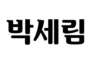 KPOP CRAVITY(크래비티、クレビティ) 세림 (セリム) コンサート用　応援ボード・うちわ　韓国語/ハングル文字型紙 通常