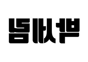 KPOP CRAVITY(크래비티、クレビティ) 세림 (セリム) コンサート用　応援ボード・うちわ　韓国語/ハングル文字型紙 左右反転