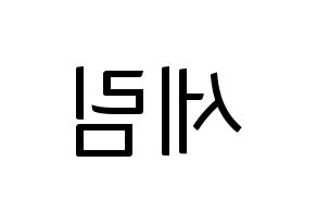 KPOP CRAVITY(크래비티、クレビティ) 세림 (セリム) コンサート用　応援ボード・うちわ　韓国語/ハングル文字型紙 左右反転