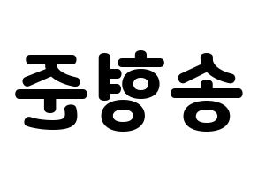 KPOP CRAVITY(크래비티、クレビティ) 형준 (ヒョンジュン) 応援ボード・うちわ　韓国語/ハングル文字型紙 左右反転