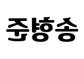 KPOP CRAVITY(크래비티、クレビティ) 형준 (ヒョンジュン) コンサート用　応援ボード・うちわ　韓国語/ハングル文字型紙 左右反転