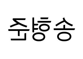 KPOP CRAVITY(크래비티、クレビティ) 형준 (ヒョンジュン) コンサート用　応援ボード・うちわ　韓国語/ハングル文字型紙 左右反転