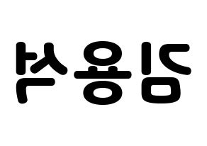 KPOP CROSS GENE(크로스진、クロスジン) 용석 (ヨンソク) 応援ボード・うちわ　韓国語/ハングル文字型紙 左右反転