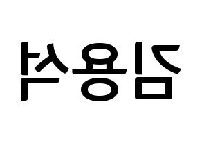 KPOP CROSS GENE(크로스진、クロスジン) 용석 (ヨンソク) k-pop アイドル名前 ファンサボード 型紙 左右反転