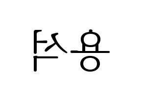 KPOP CROSS GENE(크로스진、クロスジン) 용석 (ヨンソク) 応援ボード・うちわ　韓国語/ハングル文字型紙 左右反転