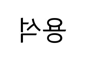 KPOP CROSS GENE(크로스진、クロスジン) 용석 (ヨンソク) コンサート用　応援ボード・うちわ　韓国語/ハングル文字型紙 左右反転