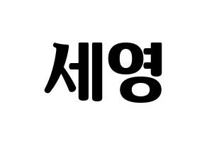 KPOP CROSS GENE(크로스진、クロスジン) 세영 (セヨン) コンサート用　応援ボード・うちわ　韓国語/ハングル文字型紙 通常