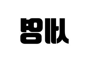 KPOP CROSS GENE(크로스진、クロスジン) 세영 (セヨン) コンサート用　応援ボード・うちわ　韓国語/ハングル文字型紙 左右反転