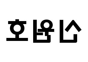 KPOP CROSS GENE(크로스진、クロスジン) 신 (シン・ウォンホ, シン) 応援ボード、うちわ無料型紙、応援グッズ 左右反転