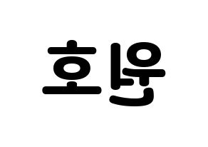 KPOP CROSS GENE(크로스진、クロスジン) 신 (シン) 応援ボード・うちわ　韓国語/ハングル文字型紙 左右反転