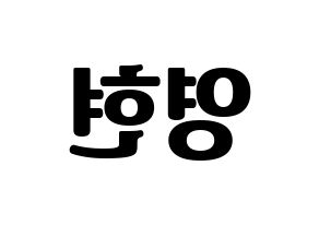 KPOP DAY6(데이식스、デイシックス) Young K (ヨンケイ) コンサート用　応援ボード・うちわ　韓国語/ハングル文字型紙 左右反転