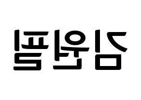 KPOP DAY6(데이식스、デイシックス) 원필 (ウォンピル) k-pop アイドル名前 ファンサボード 型紙 左右反転