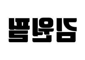 KPOP DAY6(데이식스、デイシックス) 원필 (ウォンピル) コンサート用　応援ボード・うちわ　韓国語/ハングル文字型紙 左右反転
