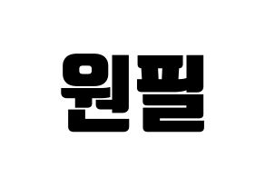 KPOP DAY6(데이식스、デイシックス) 원필 (ウォンピル) コンサート用　応援ボード・うちわ　韓国語/ハングル文字型紙 通常