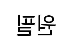 KPOP DAY6(데이식스、デイシックス) 원필 (ウォンピル) コンサート用　応援ボード・うちわ　韓国語/ハングル文字型紙 左右反転