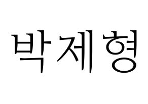 KPOP DAY6(데이식스、デイシックス) Jae (ジェイ) 応援ボード・うちわ　韓国語/ハングル文字型紙 通常