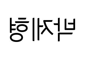 KPOP DAY6(데이식스、デイシックス) Jae (ジェイ) コンサート用　応援ボード・うちわ　韓国語/ハングル文字型紙 左右反転