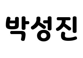 KPOP DAY6(데이식스、デイシックス) 성진 (ソンジン) 応援ボード・うちわ　韓国語/ハングル文字型紙 通常