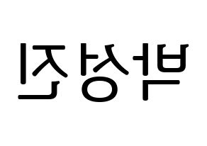 KPOP DAY6(데이식스、デイシックス) 성진 (ソンジン) プリント用応援ボード型紙、うちわ型紙　韓国語/ハングル文字型紙 左右反転