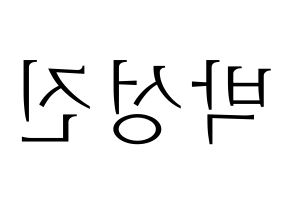 KPOP DAY6(데이식스、デイシックス) 성진 (ソンジン) 応援ボード・うちわ　韓国語/ハングル文字型紙 左右反転