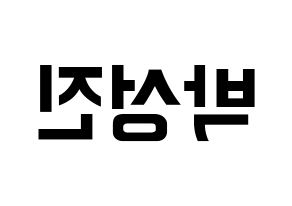 KPOP DAY6(데이식스、デイシックス) 성진 (ソンジン) k-pop アイドル名前 ファンサボード 型紙 左右反転