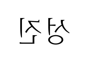 KPOP DAY6(데이식스、デイシックス) 성진 (ソンジン) 応援ボード・うちわ　韓国語/ハングル文字型紙 左右反転