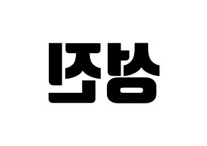 KPOP DAY6(데이식스、デイシックス) 성진 (ソンジン) コンサート用　応援ボード・うちわ　韓国語/ハングル文字型紙 左右反転